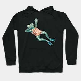 calm frog Hoodie